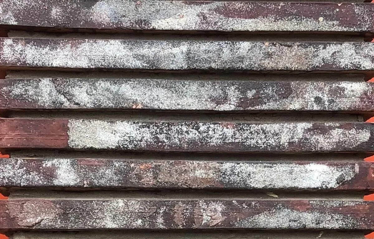 Керамический ригель-кирпич Богандинский “ПЕТРОПАВЛОВСК” – купить по низкой цене в Тюмени в интернет-магазине Стройснаб Керамический ригель-кирпич Богандинский “ПЕТРОПАВЛОВСК” в Тюмени