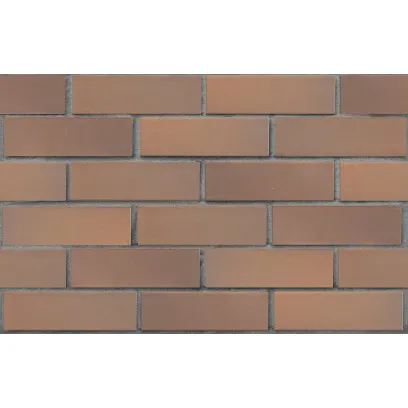 Кирпич клинкерный лицевой ЛСР Прага светло-коричневый гладкий 0,7 НФ – купить по низкой цене в Тюмени в интернет-магазине Стройснаб Кирпич клинкерный лицевой ЛСР Прага светло-коричневый гладкий 0,7 НФ в Тюмени