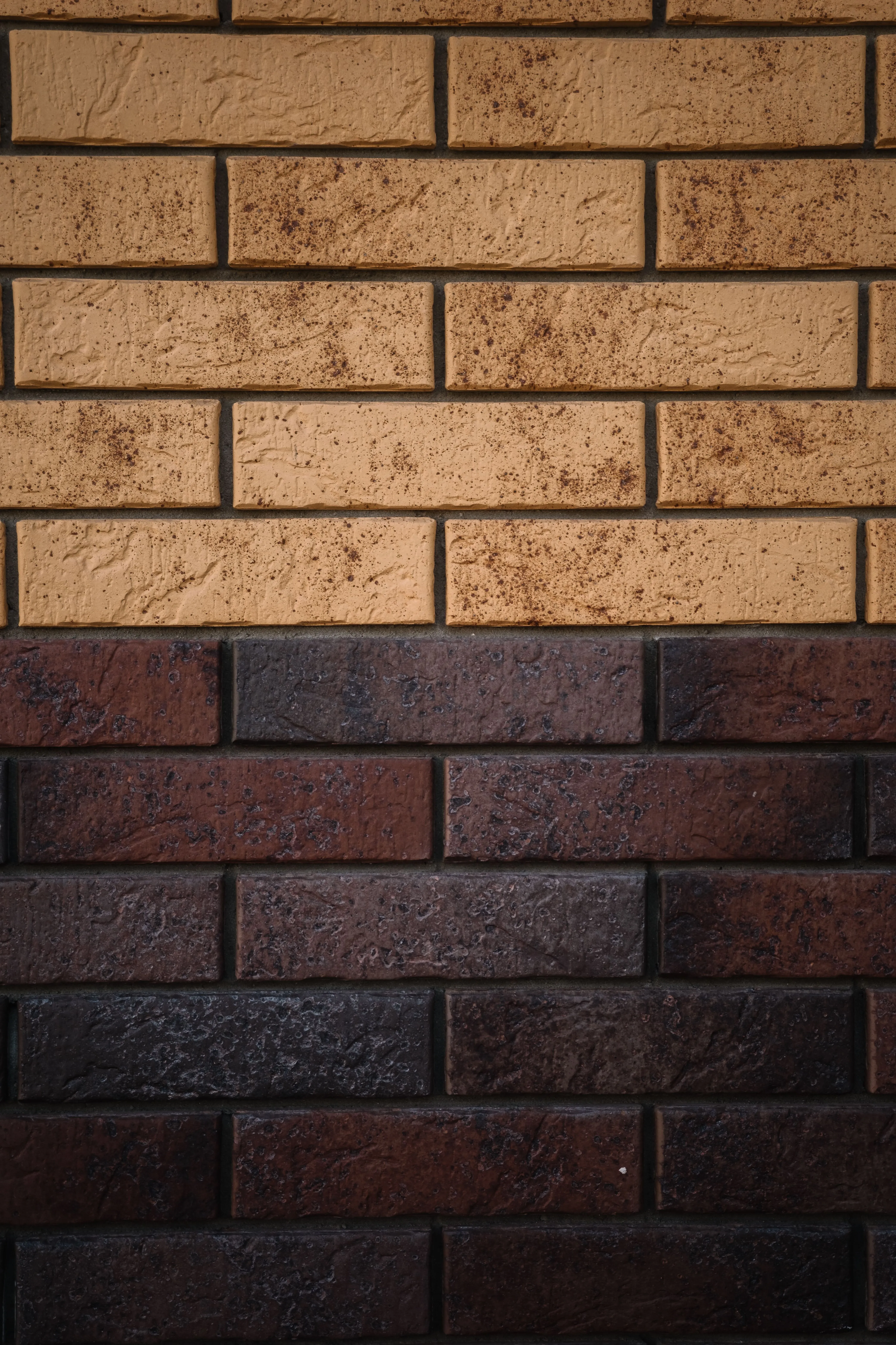 Кирпич керамический лицевой Ликолор Тайга морион юг скала 0,7 НФ – купить по низкой цене в Тюмени в интернет-магазине Стройснаб Кирпич керамический лицевой Ликолор Тайга морион юг скала 0,7 НФ в Тюмени