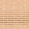 Кирпич керамический лицевой ЖКЗ соломенный дерево 1 НФ – купить по низкой цене в Тюмени в интернет-магазине Стройснаб Кирпич керамический лицевой ЖКЗ соломенный дерево 1 НФ в Тюмени