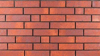 Кирпич керамический Ликолор одинарный Брусника Light в Тюмени