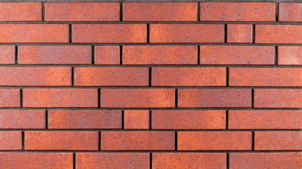 Кирпич керамический Ликолор одинарный Брусника Light – купить по низкой цене в Тюмени в интернет-магазине Стройснаб Кирпич керамический Ликолор одинарный Брусника Light в Тюмени