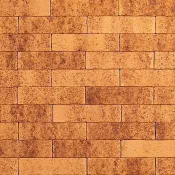 Кирпич керамический лицевой Ликолор Тайга морошка скала 0,7 НФ – купить по низкой цене в Тюмени в интернет-магазине Стройснаб Кирпич керамический лицевой Ликолор Тайга морошка скала 0,7 НФ в Тюмени