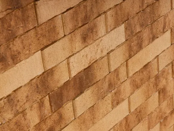 Кирпич клинкерный лицевой Ликолор Сибирский Архитекторъ Омскъ скала полнотелый 1 НФ в Тюмени