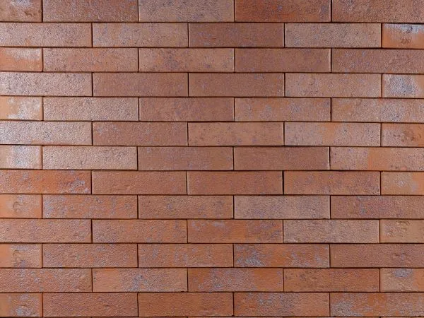 Кирпич клинкерный лицевой Ликолор Сибирский Архитекторъ Иркутскъ шагрень полнотелый 1 НФ в Тюмени