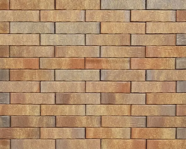 Кирпич керамический лицевой Ликолор Тайга Вулканы Дар земли 0,7 НФ – купить по низкой цене в Тюмени в интернет-магазине Стройснаб Кирпич керамический лицевой Ликолор Тайга Вулканы Дар земли 0,7 НФ в Тюмени