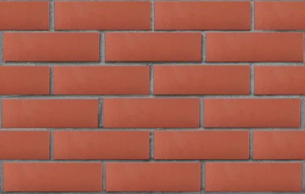 Кирпич керамический лицевой ЛСР красный гладкий полнотелый R-60 1 НФ – купить по низкой цене в Тюмени в интернет-магазине Стройснаб Кирпич керамический лицевой ЛСР красный гладкий полнотелый R-60 1 НФ в Тюмени