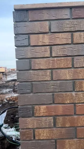 Дар земли  (2)