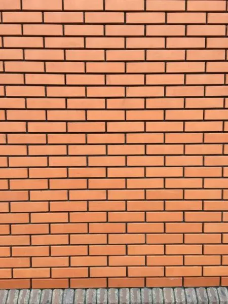 1511246844_1564155706