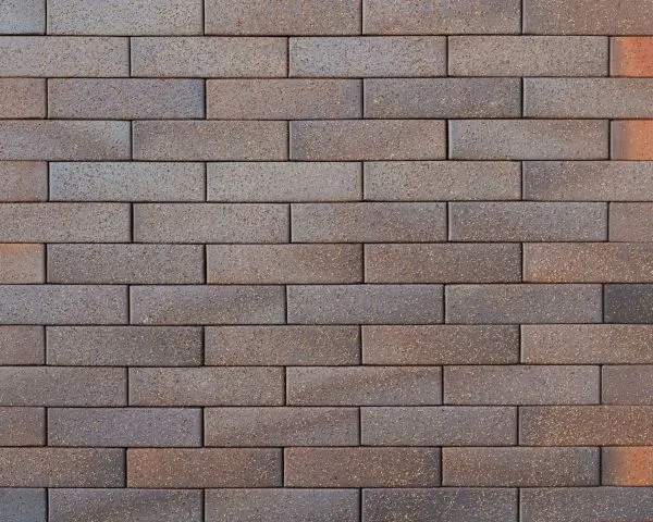 Кирпич керамический лицевой Ликолор Тайга борус гладкий 0,7 НФ – купить по низкой цене в Тюмени в интернет-магазине Стройснаб Кирпич керамический лицевой Ликолор Тайга борус гладкий 0,7 НФ в Тюмени