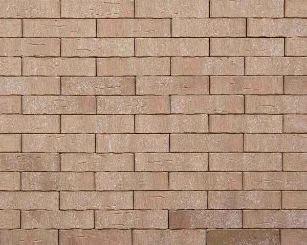 Кирпич керамический лицевой Ликолор Тайга Вулканы Хранитель времени 1 НФ – купить по низкой цене в Тюмени в интернет-магазине Стройснаб Кирпич керамический лицевой Ликолор Тайга Вулканы Хранитель времени 1 НФ в Тюмени