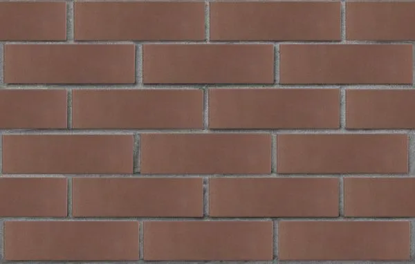 1-seryij-temnkorich-glad-min