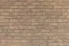 Кирпич керамический ВЗКСМ утолщенный Береста – купить по низкой цене в Тюмени в интернет-магазине Стройснаб Кирпич керамический ВЗКСМ утолщенный Береста в Тюмени
