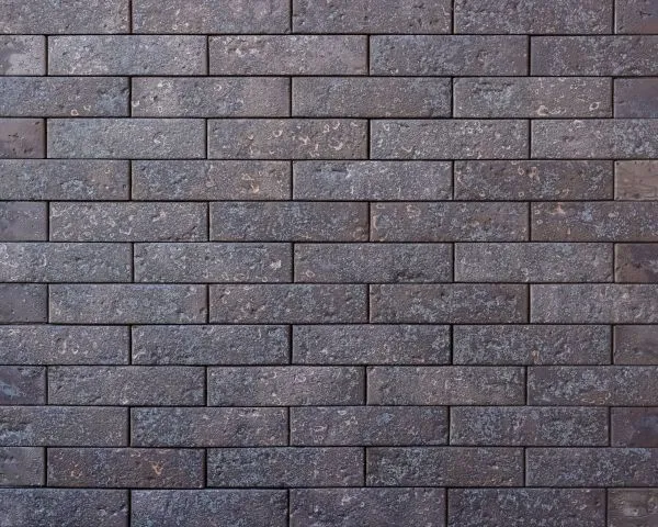 Кирпич керамический лицевой Ликолор Тайга графит магма 1 НФ – купить по низкой цене в Тюмени в интернет-магазине Стройснаб Кирпич керамический лицевой Ликолор Тайга графит магма 1 НФ в Тюмени