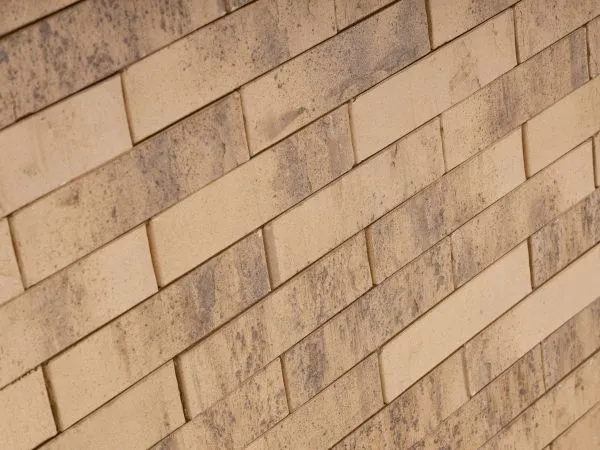 Кирпич клинкерный лицевой Ликолор Сибирский Архитекторъ Барнаулъ лава 0,7 НФ в Тюмени