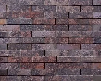 Кирпич керамический лицевой Ликолор Тайга морион север гладкий 1 НФ в Тюмени