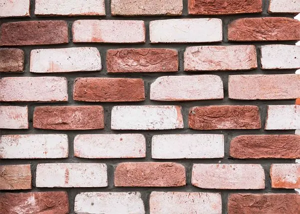 Кирпичная плитка РОЗЕН Ti WDF – купить по низкой цене в Тюмени в интернет-магазине Стройснаб Кирпичная плитка РОЗЕН Ti WDF в Тюмени