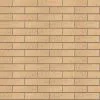 Кирпич керамический лицевой ЖКЗ соломенный пена 1 НФ в Тюмени