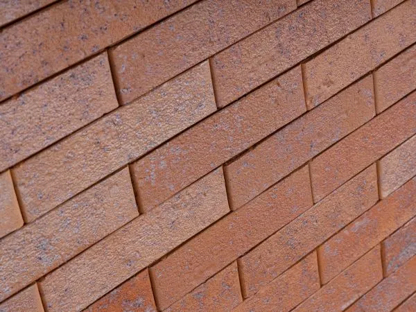 d1ndw3fpsipnc8ep5t493zh2y75p5tpf