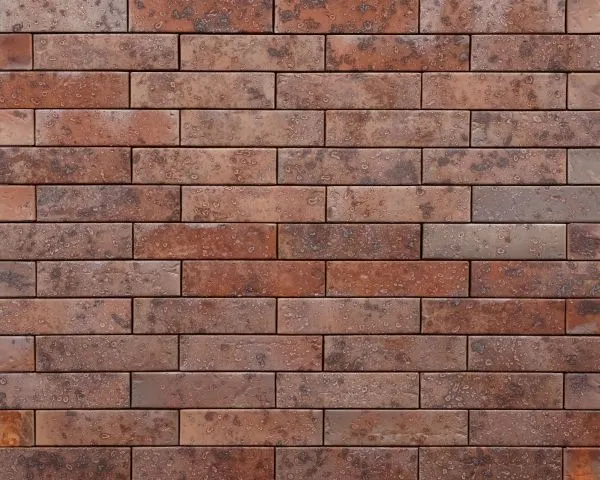 Кирпич керамический лицевой Ликолор Тайга морион юг гладкий 0,7 НФ – купить по низкой цене в Тюмени в интернет-магазине Стройснаб Кирпич керамический лицевой Ликолор Тайга морион юг гладкий 0,7 НФ в Тюмени