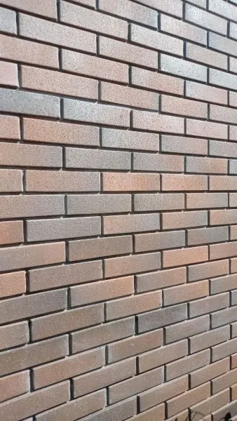 Тайга Борус 0,7НФ и Морошка Скала 1НФ (3)