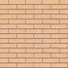 Кирпич керамический лицевой ЖКЗ соломенный дерево 1 НФ – купить по низкой цене в Тюмени в интернет-магазине Стройснаб Кирпич керамический лицевой ЖКЗ соломенный дерево 1 НФ в Тюмени