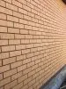 Кирпич керамический лицевой ЖКЗ соломенный скала 1,4 НФ в Тюмени