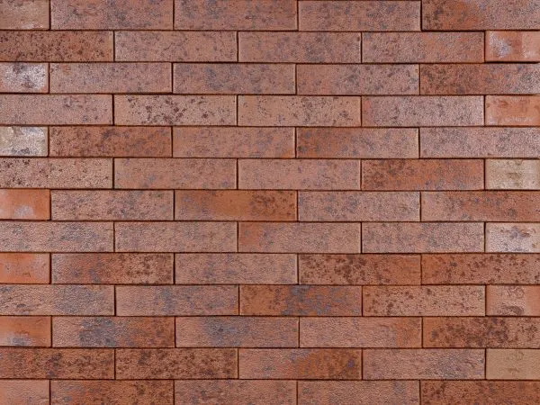 Кирпич клинкерный лицевой Ликолор Сибирский Архитекторъ Томскъ магма 1 НФ в Тюмени