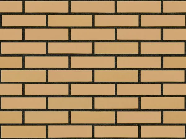 солома гладкий - тс