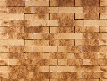 Кирпич клинкерный лицевой Ликолор Сибирский Архитекторъ Омскъ скала 1 НФ в Тюмени