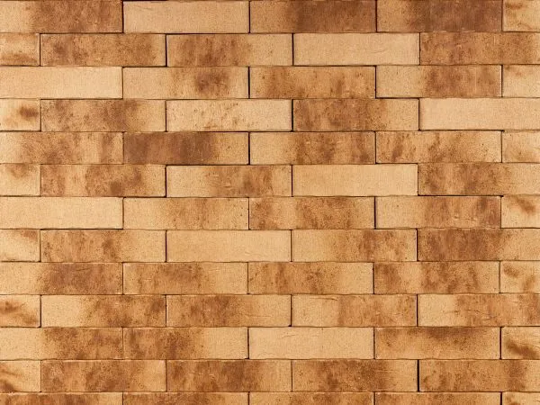 Кирпич клинкерный лицевой Ликолор Сибирский Архитекторъ Омскъ скала 1 НФ в Тюмени