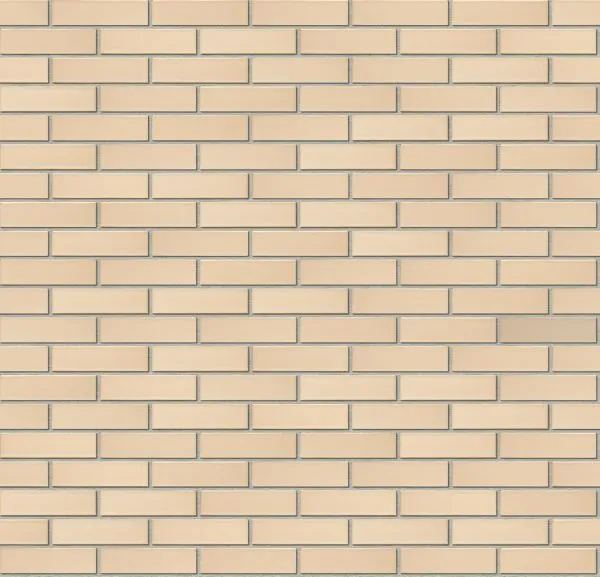 slon-belyj slon-belyj