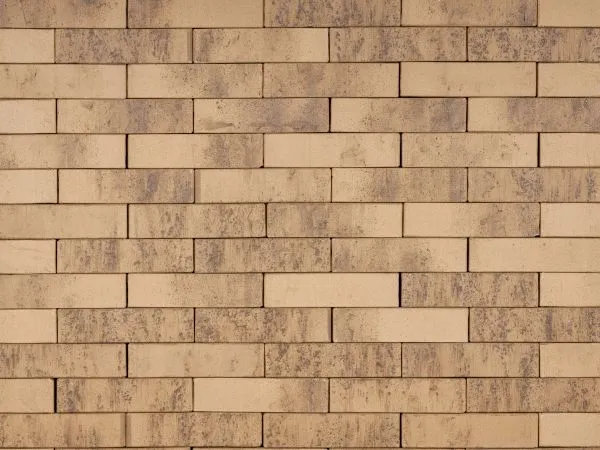 Кирпич клинкерный лицевой Ликолор Сибирский Архитекторъ Барнаулъ лава 0,7 НФ в Тюмени