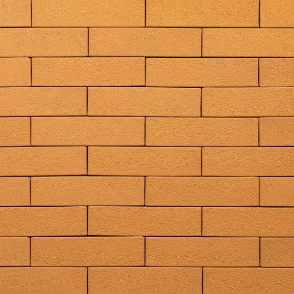 Кирпич керамический лицевой Ликолор соломенный шагрень 1 НФ – купить по низкой цене в Тюмени в интернет-магазине Стройснаб Кирпич керамический лицевой Ликолор соломенный шагрень 1 НФ в Тюмени