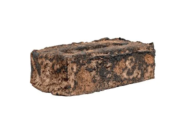 Кирпич ручной формовки Faber Jar Петровский Штандарт Коричнево-черный – купить по низкой цене в Тюмени в интернет-магазине Стройснаб Кирпич ручной формовки Faber Jar Петровский Штандарт Коричнево-черный в Тюмени