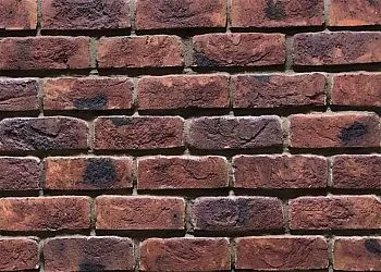 Кирпичная плитка МОНС Ti WDF  в Тюмени