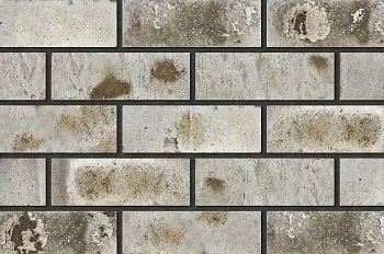 Кирпич керамический лицевой Фурбау Оникс 1,4 НФ в Тюмени