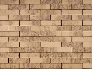 Кирпич клинкерный лицевой Ликолор Сибирский Архитекторъ Барнаулъ лава 0,7 НФ