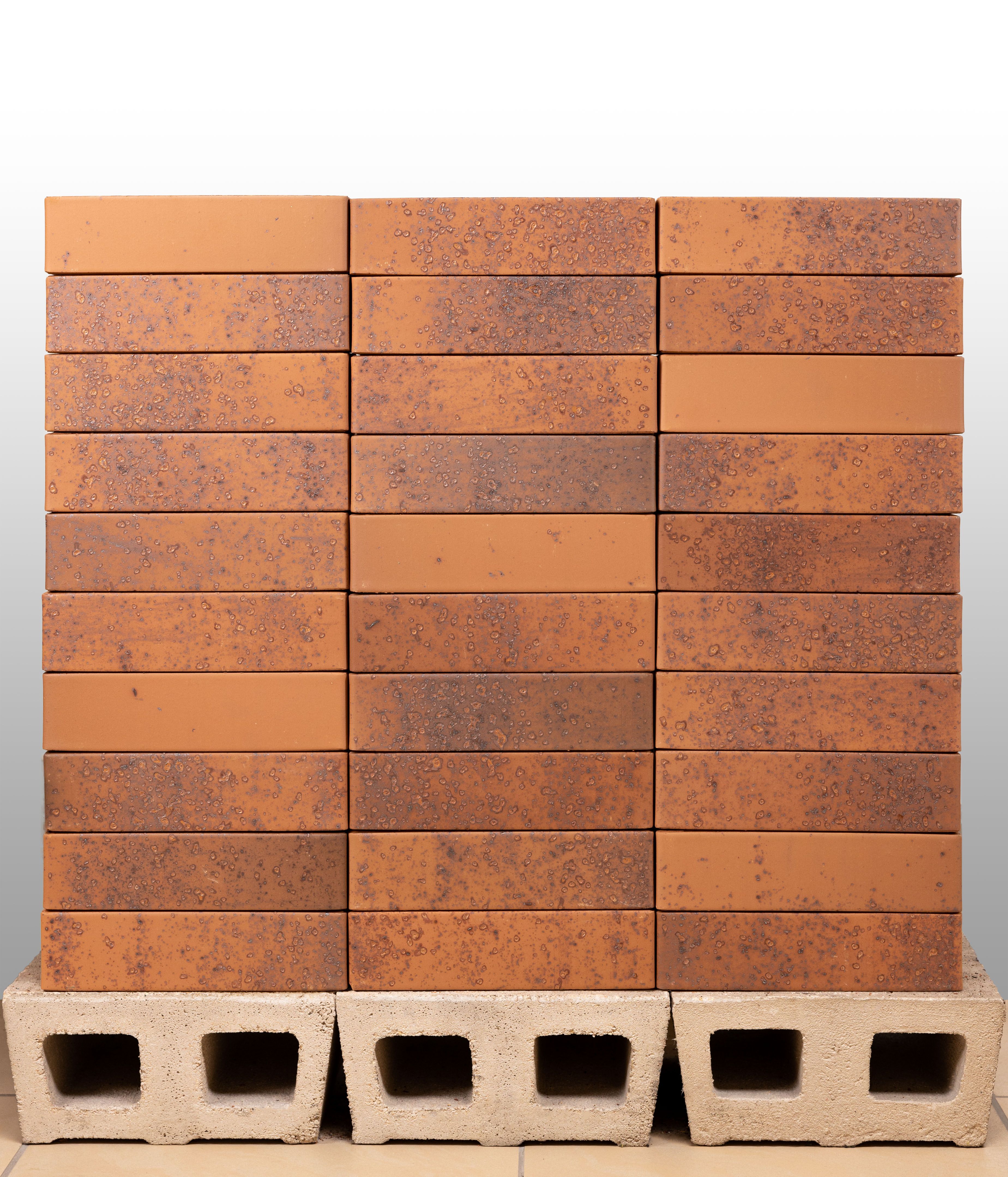 Кирпич керамический лицевой Ликолор Тайга морион на заре гладкий 0,7 НФ – купить по низкой цене в Тюмени в интернет-магазине Стройснаб Кирпич керамический лицевой Ликолор Тайга морион на заре гладкий 0,7 НФ в Тюмени