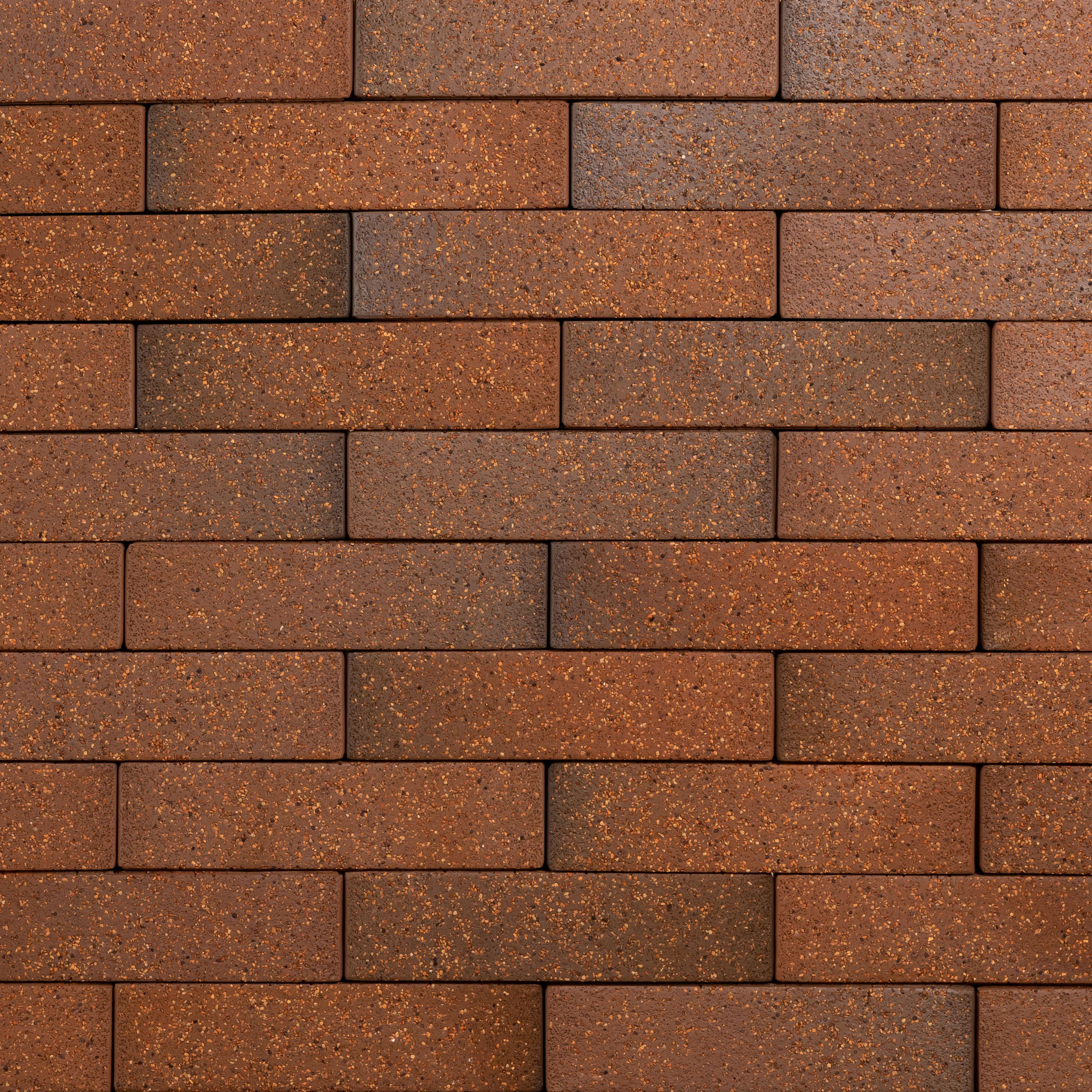 Кирпич керамический лицевой Ликолор Тайга борус гладкий 0,7 НФ – купить по низкой цене в Тюмени в интернет-магазине Стройснаб Кирпич керамический лицевой Ликолор Тайга борус гладкий 0,7 НФ в Тюмени