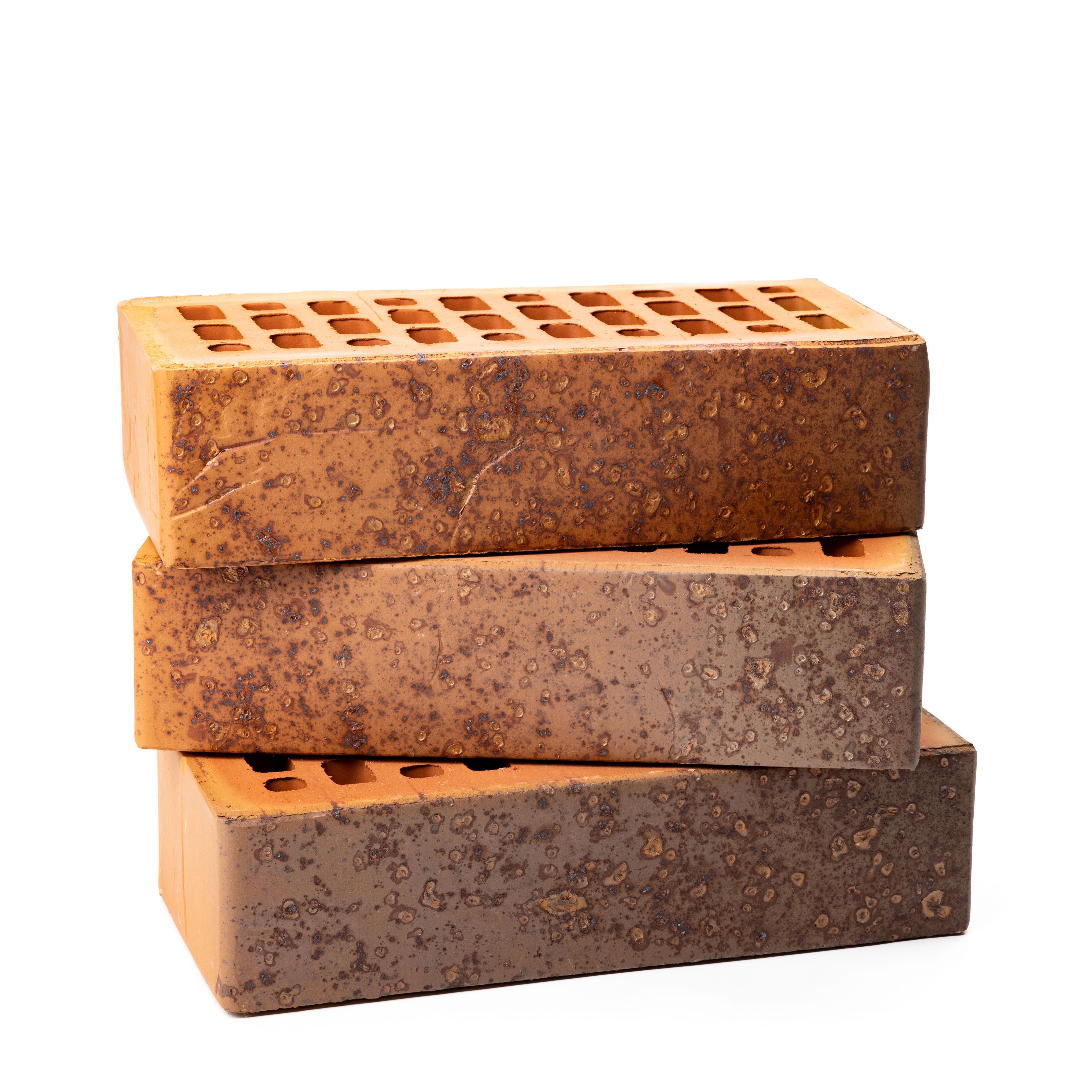 Кирпич керамический лицевой Ликолор Тайга морион на заре гладкий 1 НФ – купить по низкой цене в Тюмени в интернет-магазине Стройснаб Кирпич керамический лицевой Ликолор Тайга морион на заре гладкий 1 НФ в Тюмени