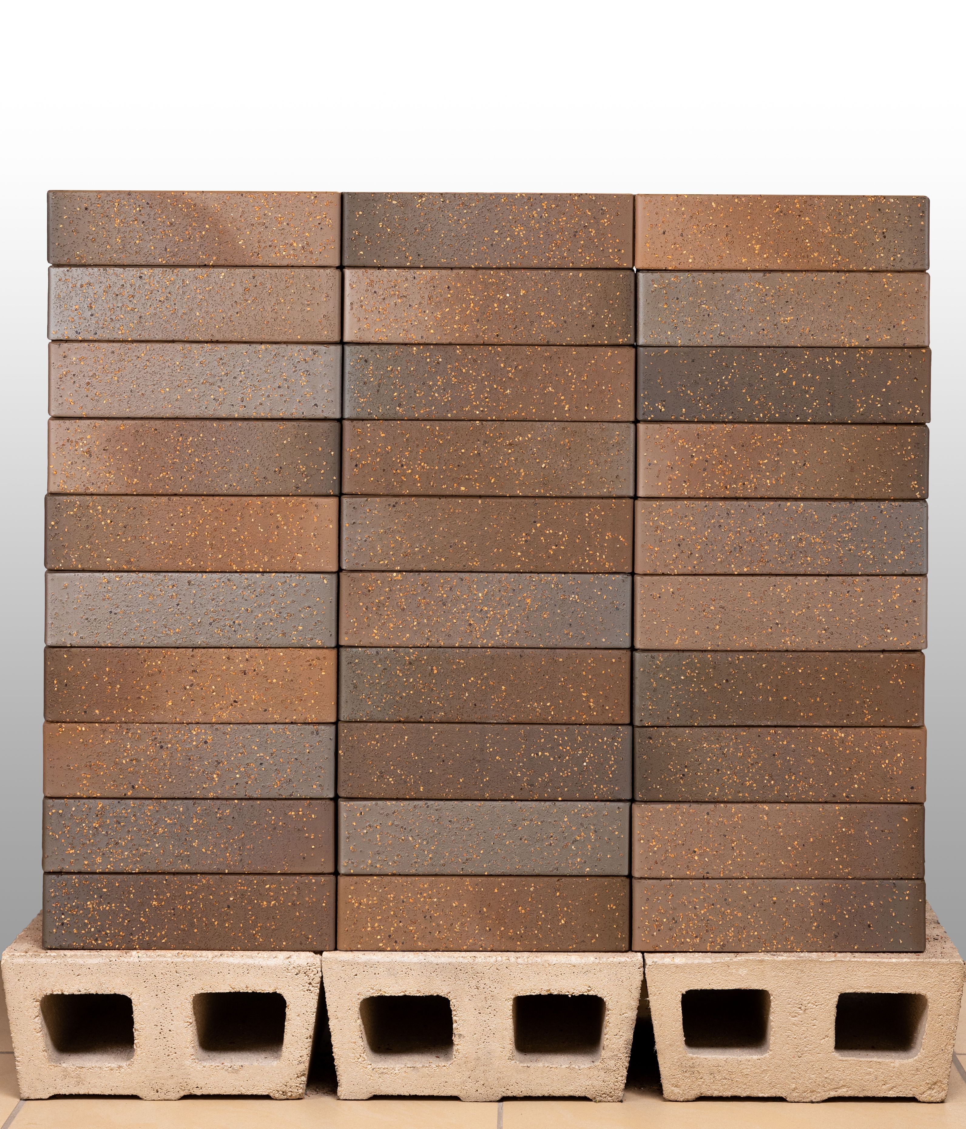 Кирпич керамический лицевой Ликолор Тайга борус гладкий 1 НФ – купить по низкой цене в Тюмени в интернет-магазине Стройснаб Кирпич керамический лицевой Ликолор Тайга борус гладкий 1 НФ в Тюмени