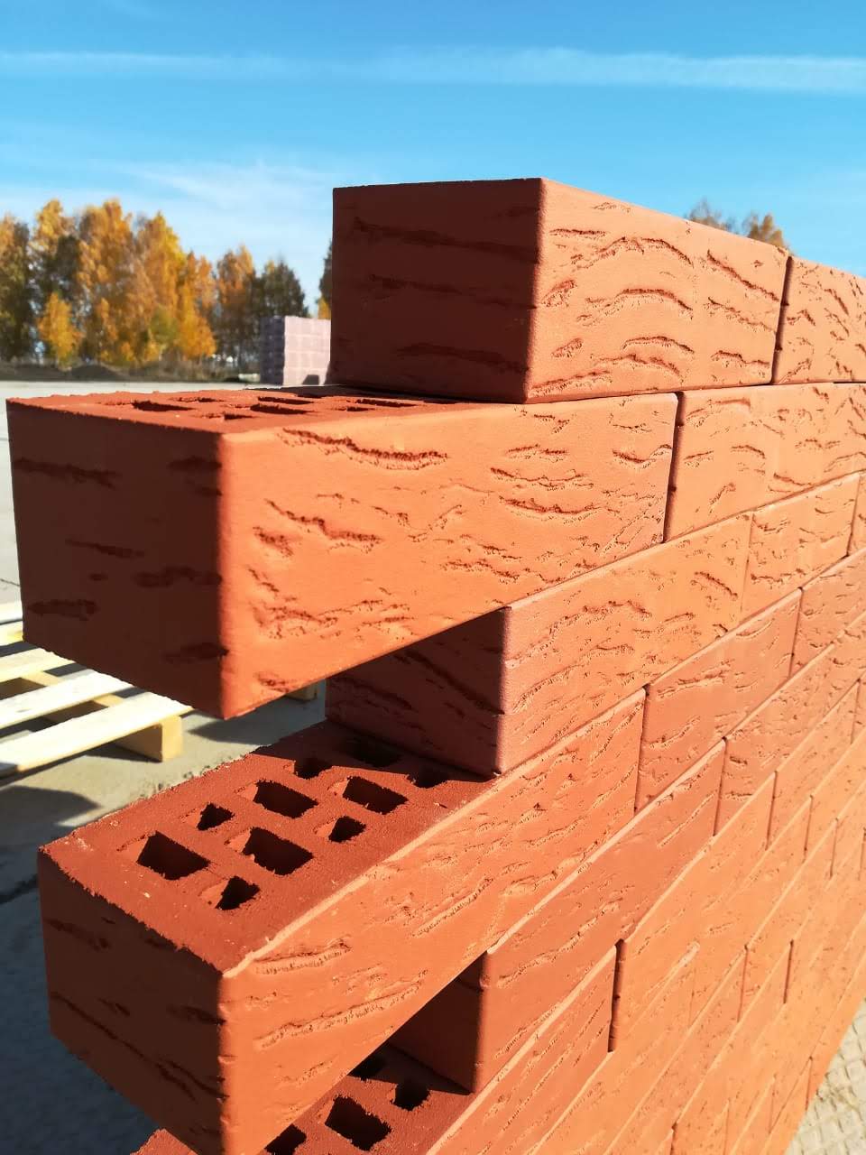 Кирпич керамический Магма ЕВРО 0,7 НФ Красный Антик – купить по низкой цене в Тюмени в интернет-магазине Стройснаб Кирпич керамический Магма ЕВРО 0,7 НФ Красный Антик в Тюмени