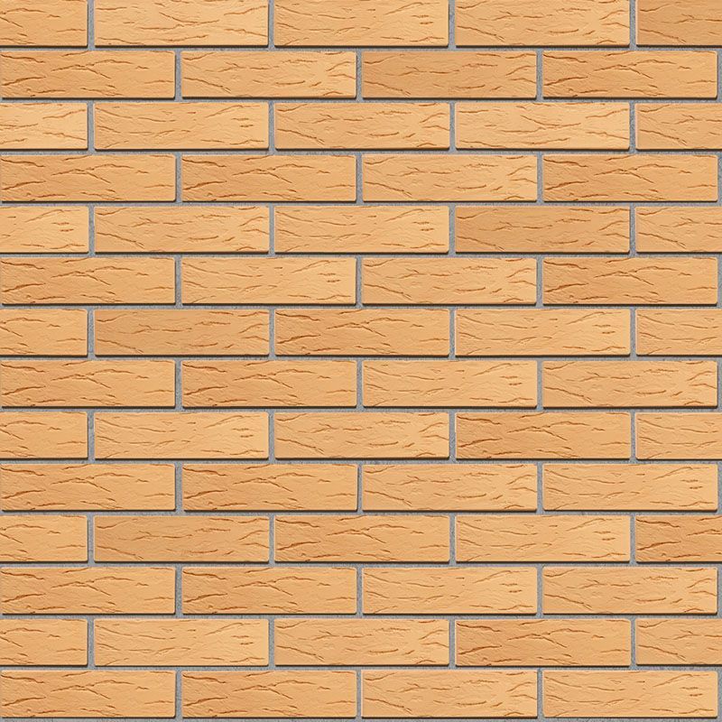 Кирпич керамический лицевой ОСМиБТ солома рустик 1 НФ – купить по низкой цене в Тюмени в интернет-магазине Стройснаб Кирпич керамический лицевой ОСМиБТ солома рустик 1 НФ в Тюмени