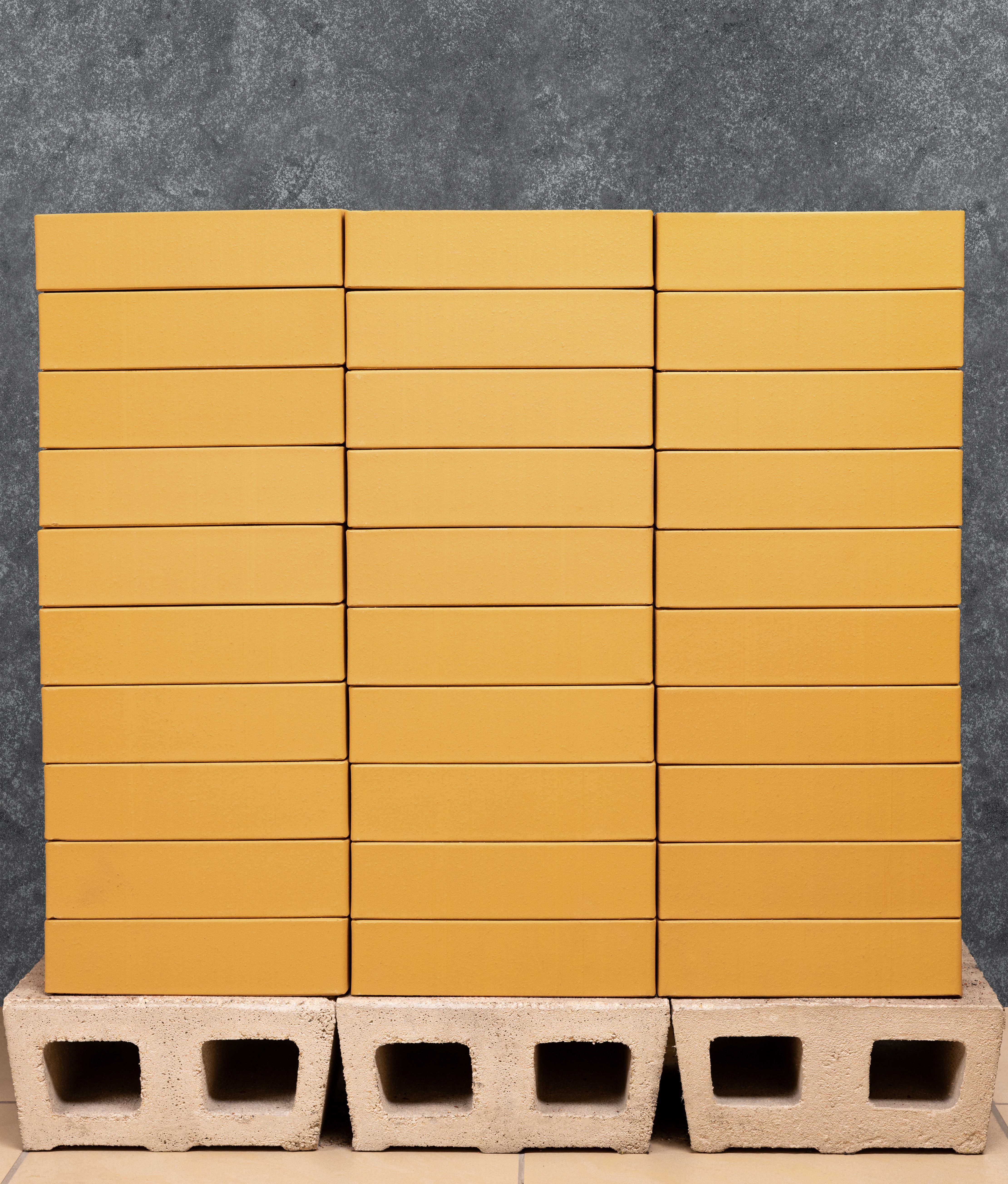 Кирпич керамический лицевой Ликолор соломенный гладкий 1 НФ – купить по низкой цене в Тюмени в интернет-магазине Стройснаб Кирпич керамический лицевой Ликолор соломенный гладкий 1 НФ в Тюмени