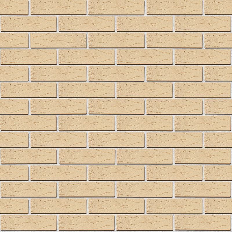 Кирпич керамический лицевой ОСМиБТ белый рустик 1 НФ – купить по низкой цене в Тюмени в интернет-магазине Стройснаб Кирпич керамический лицевой ОСМиБТ белый рустик 1 НФ в Тюмени