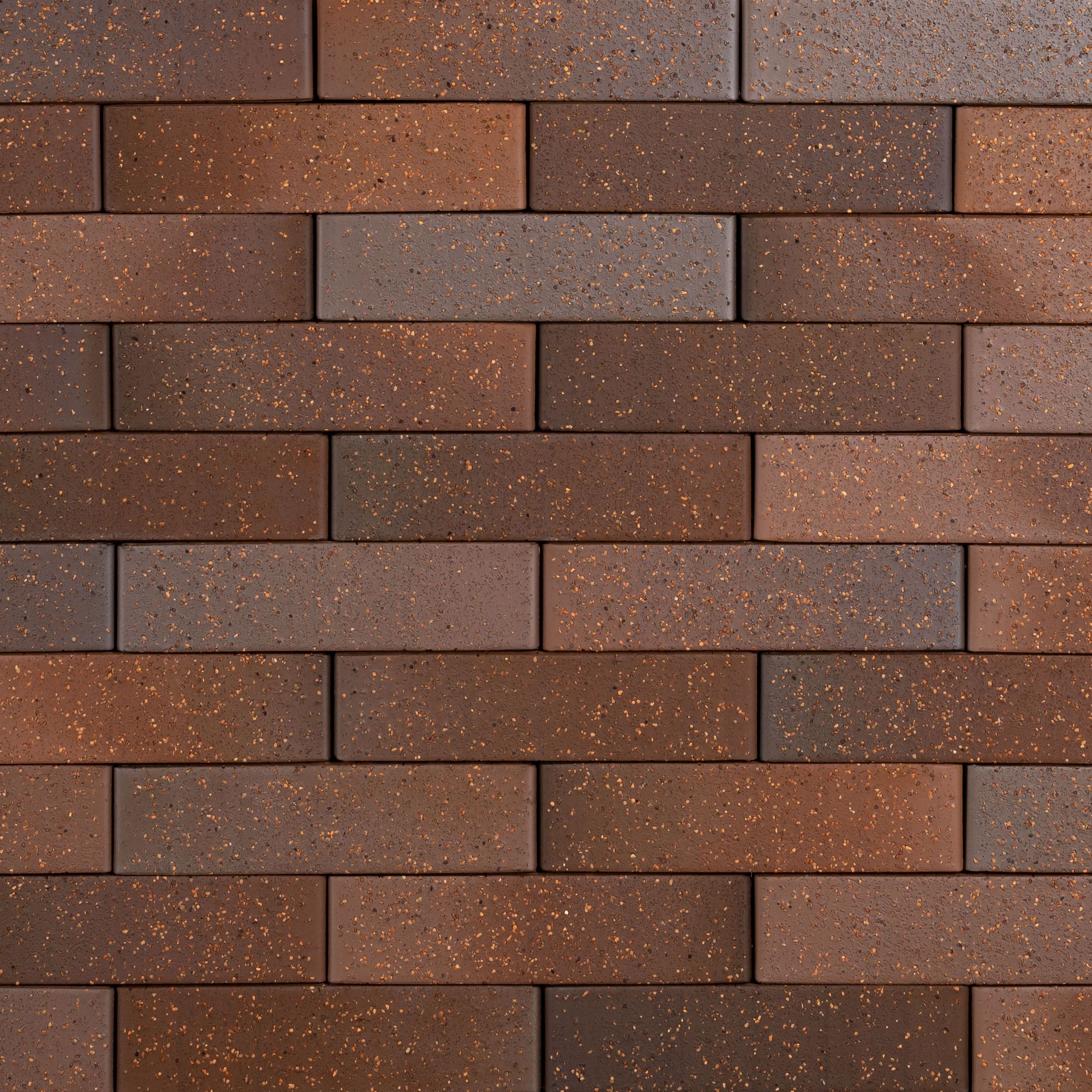 Кирпич керамический лицевой Ликолор Тайга борус гладкий 1 НФ – купить по низкой цене в Тюмени в интернет-магазине Стройснаб Кирпич керамический лицевой Ликолор Тайга борус гладкий 1 НФ в Тюмени