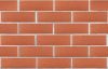 Кирпич керамический ЛСР одинарный Красный рустик – купить по низкой цене в Тюмени в интернет-магазине Стройснаб Кирпич керамический ЛСР одинарный Красный рустик в Тюмени