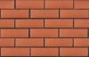 Кирпич керамический ЛСР одинарный Красный рустик – купить по низкой цене в Тюмени в интернет-магазине Стройснаб Кирпич керамический ЛСР одинарный Красный рустик в Тюмени