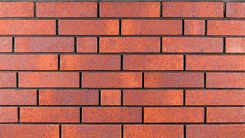 Кирпич керамический Ликолор одинарный Брусника Light – купить по низкой цене в Тюмени в интернет-магазине Стройснаб Кирпич керамический Ликолор одинарный Брусника Light в Тюмени